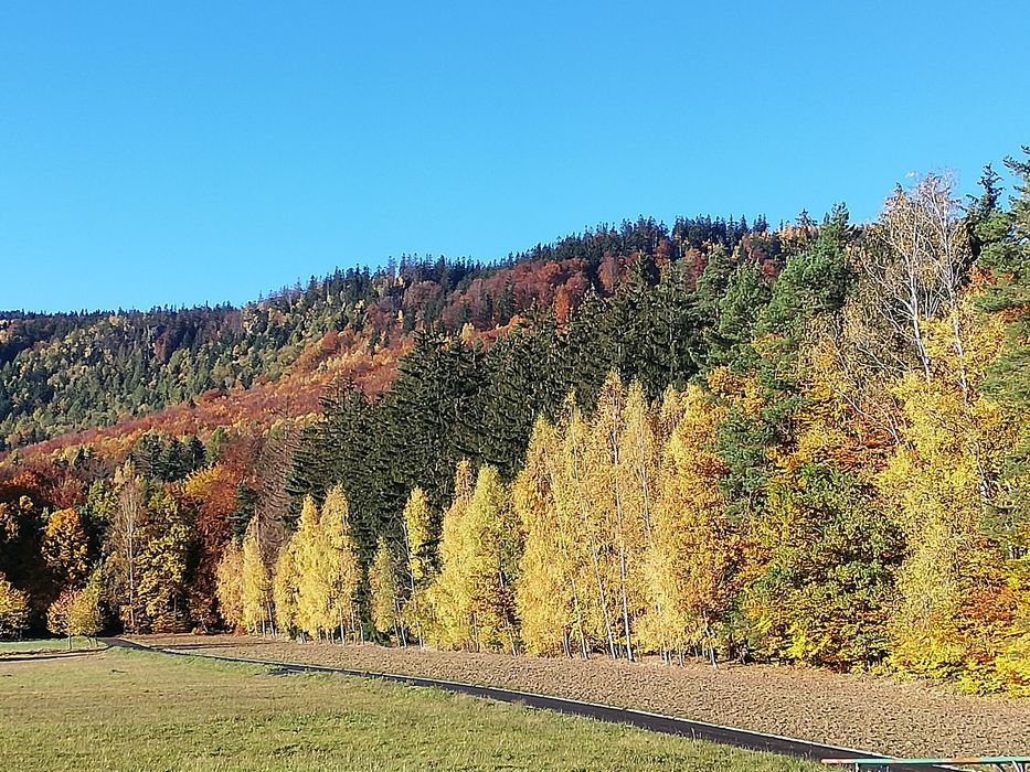 Pokoje Radków zalew