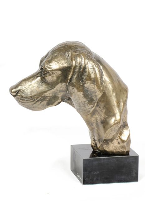 Wyżeł weimarski głowa na kamieniu Art-Dog