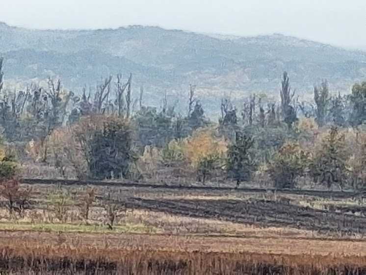 Продаж будинку в селі Мошни