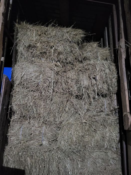 Продам  СЕНО  разнотравье с  ПОЛЯ