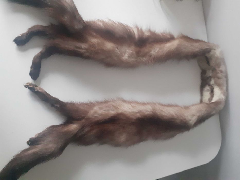 Piekny szal z lisa z nogami.