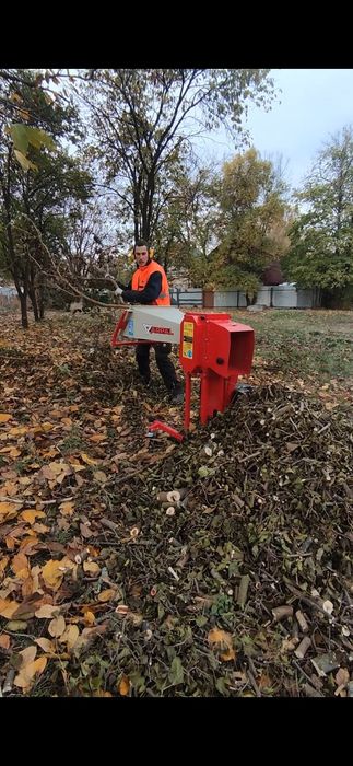Зрізання дерев | Обрізка рослин