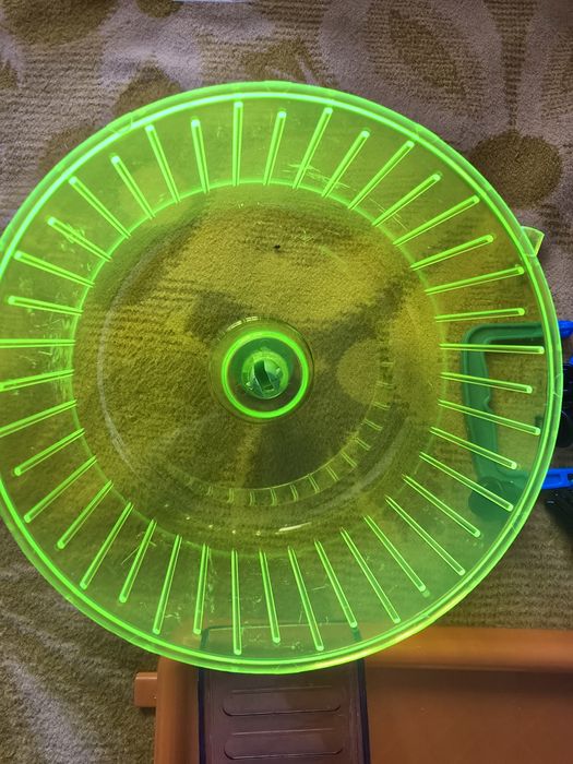 Domek dla myszki lub chomika nowy z drobnymi uszkodzeniami