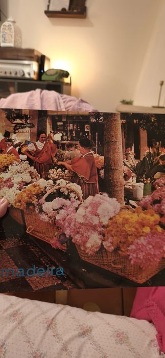 8 discos de vinil