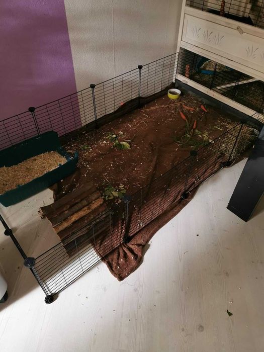 Klatka dla gryzoni królików świnki morskiej psa kota NOWA modułowa