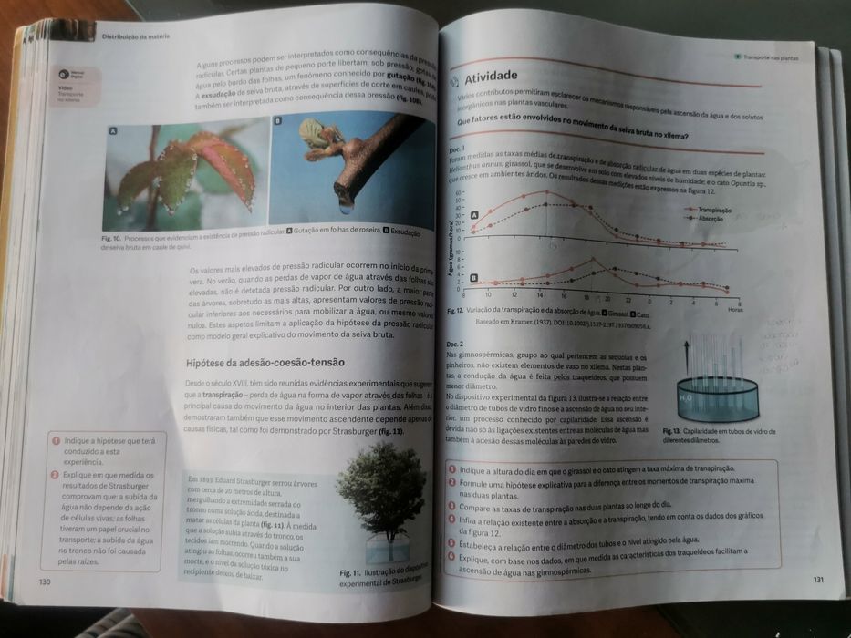 Manual Biologia  10.°ano