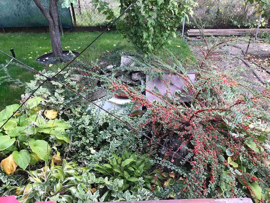 Дача в космическом микрорайоне