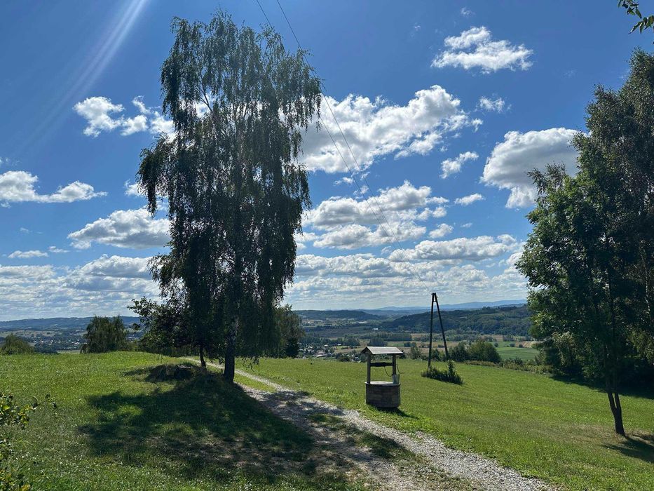 Domek na wynajem, Noclegi, Wynejm krotkoterminowy