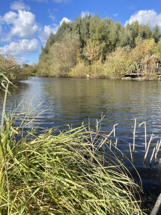 Земельна ділянка