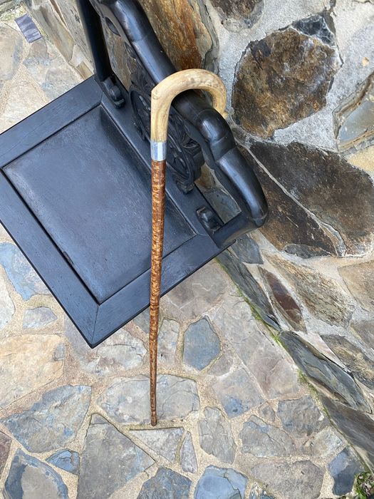 Grande Bengala Cajado Nobre Gentlemen’s Cane 117 centímetros anos 50