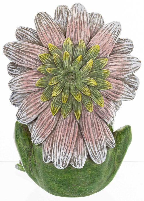 Żaba w kapeluszu Zabawna! 164575