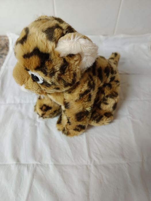 New Dolls at Various Prices64752055068802124