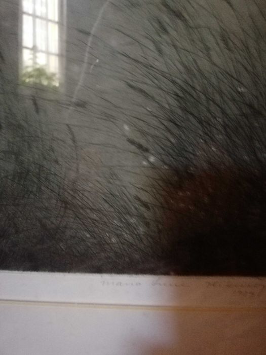 Serigrafia de Irene Ribeiro com moldura
BAIXA DE PREÇO