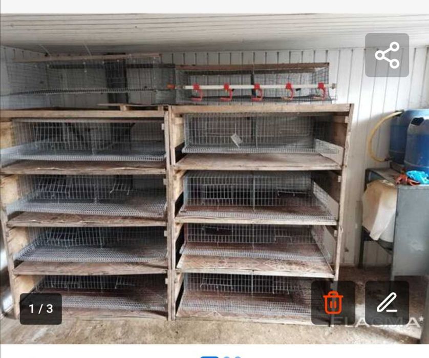 Продаемо клітки для перепелів,брудера
