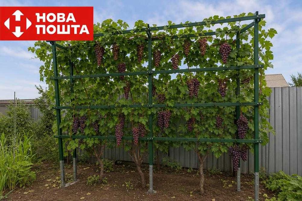 Опори для помідорів / для підвязки помідорів / Шпалера садова / шпагат / арка