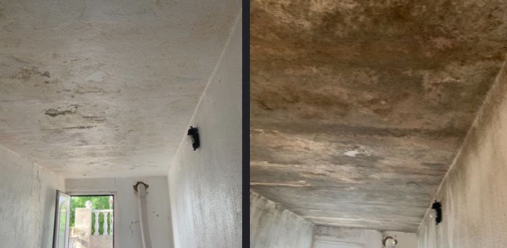 Servicos de limpezas em geral .