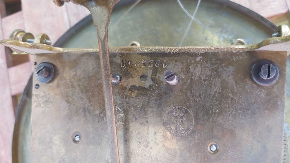 Gustav Becker żyłkowiec