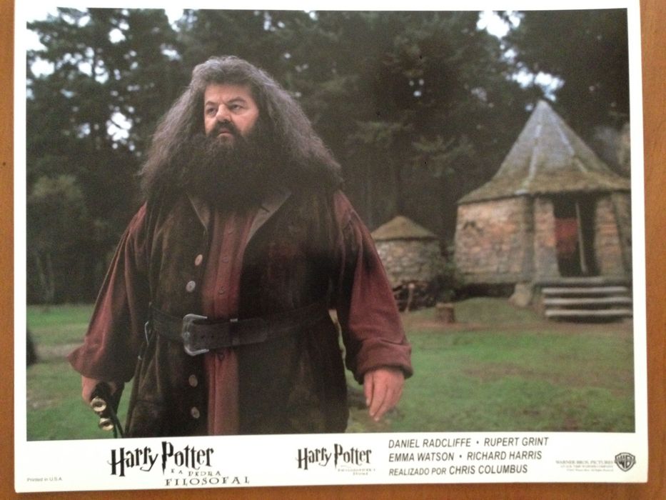 Cartazes cinema originais cos filmes Harry Potter