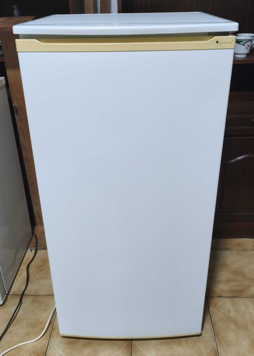 Frigorífico Vertical Gralux TOP Line – 200 L (Funciona 100%)