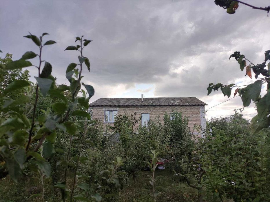 Будинок двоповерховий з молодим садом.