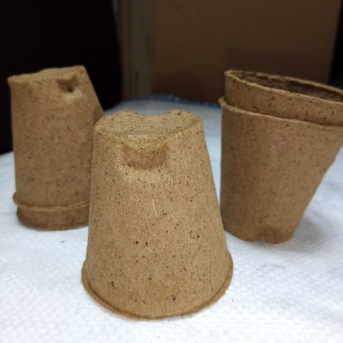 Vasos Compostáveis para Agricultura
