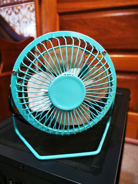 Ventoinha portátil