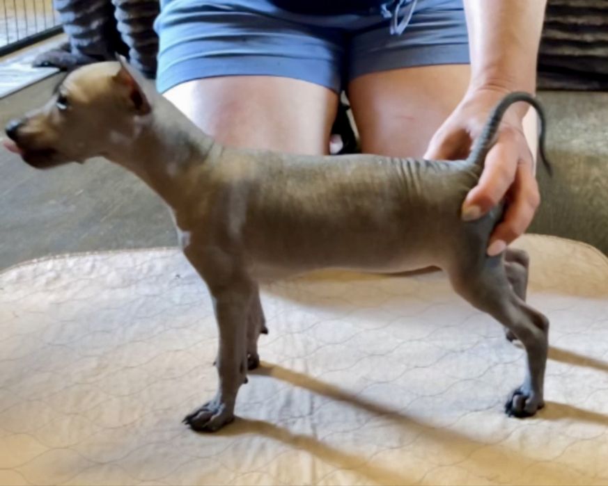 маленькая дочка  без трусов 