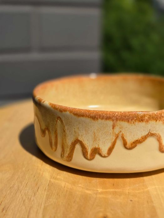 Miska ceramiczna dla psa kota zwierząt