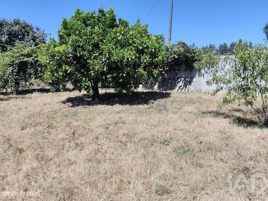 Terreno em Castelo