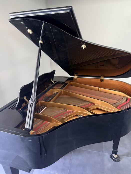 Piano 1/4 de cauda Milton