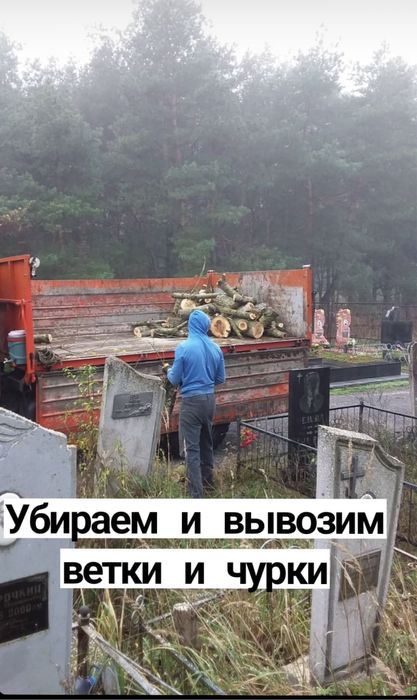 Спил, видалення, обрізка дерев, корчування пнів.Автовышка,вывоз мусора