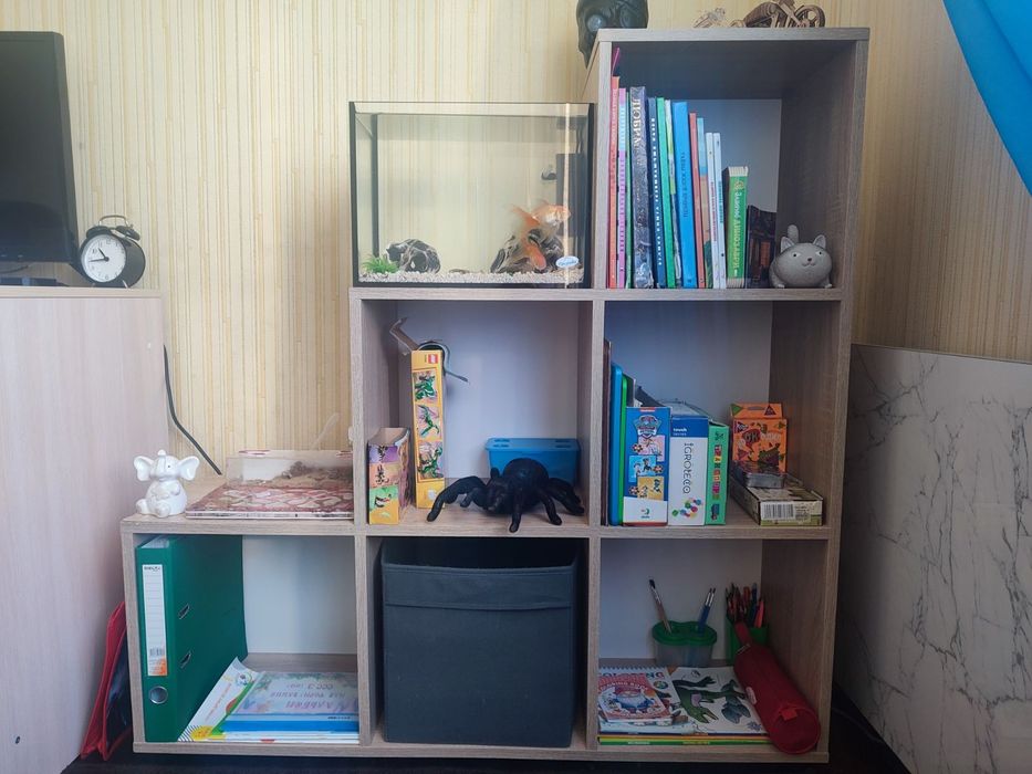 Поличка для книг чи іншого приладдя