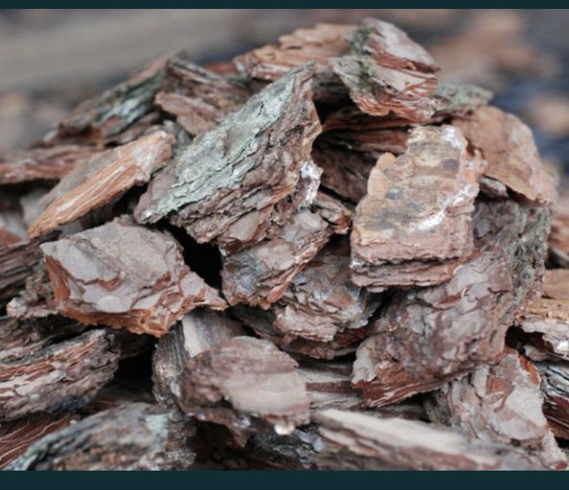 Кора соснова  екологічно чиста ( різні фракції)