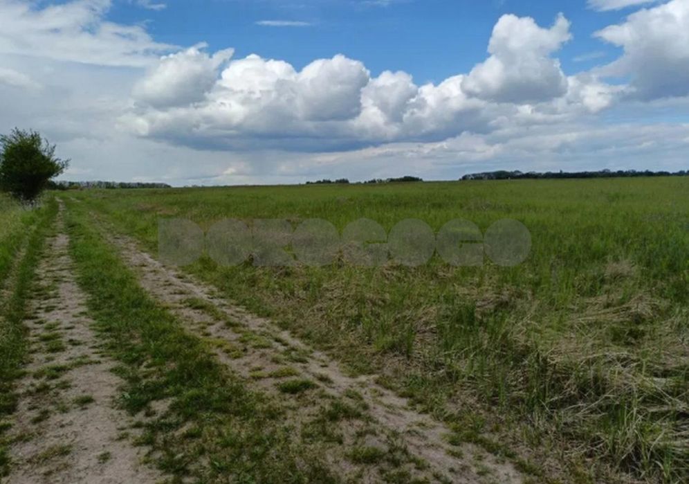 Продаж мальовничої ділянки 20 соток !! с. Музичі в 30 км від Києва