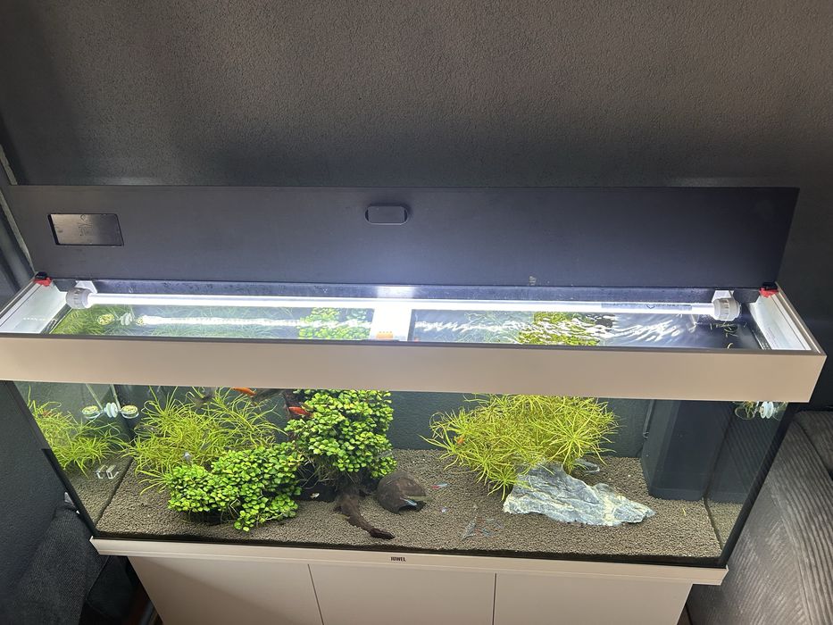 Akwarium JUWEL  Rio 240 l +CO2 + szafka