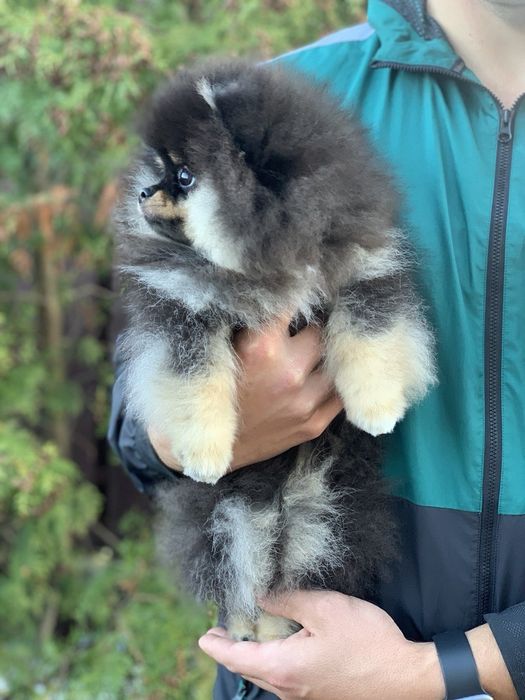 Неймовірний малюк