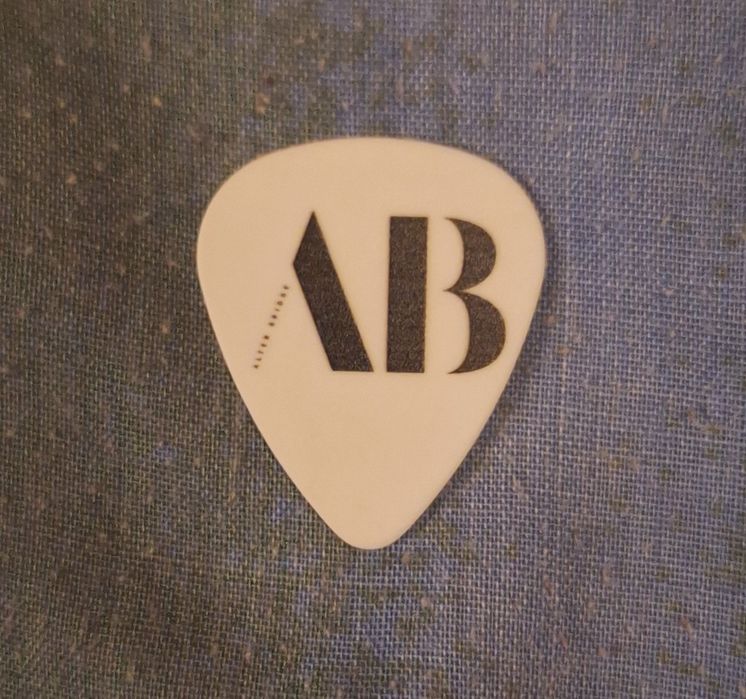 Palheta Alter Bridge