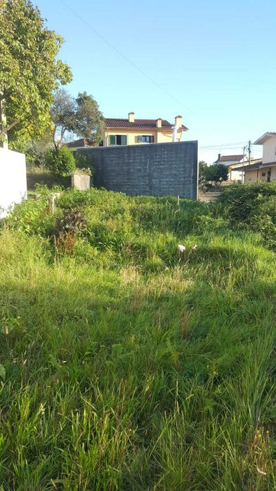 Terreno urbano 700m2
