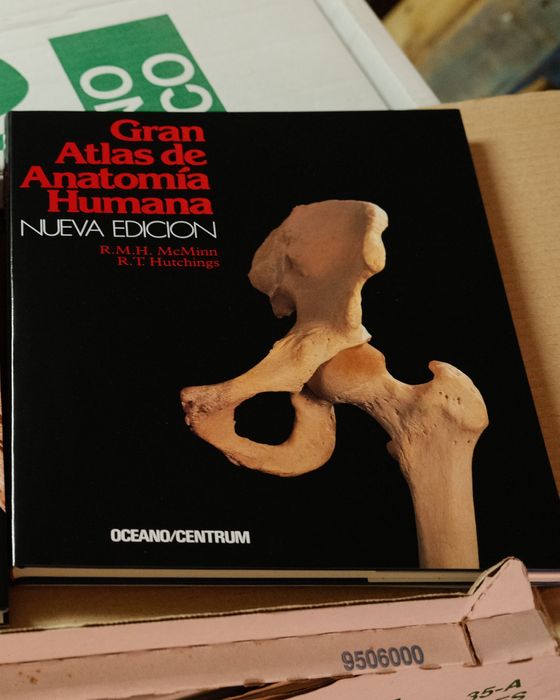 Gran Atlas de Anatomía, 2 volumes