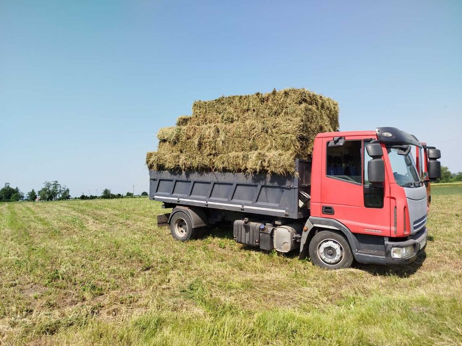 Продам сіно лугове , та сіно люцерни ціну уточнюйте