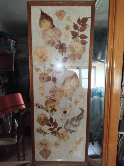 2 Quadros Antigos decorativos de flores secas