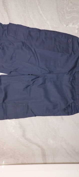 Dickies Męskie spodnie ogrodniczki B&B DE44