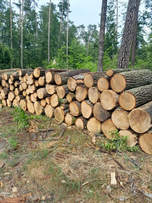 Drewno kominkowe opałowe