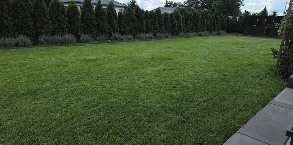 Trawa Życica trwała 10 kg – idealna trawa na Twój przydomowy trawnik