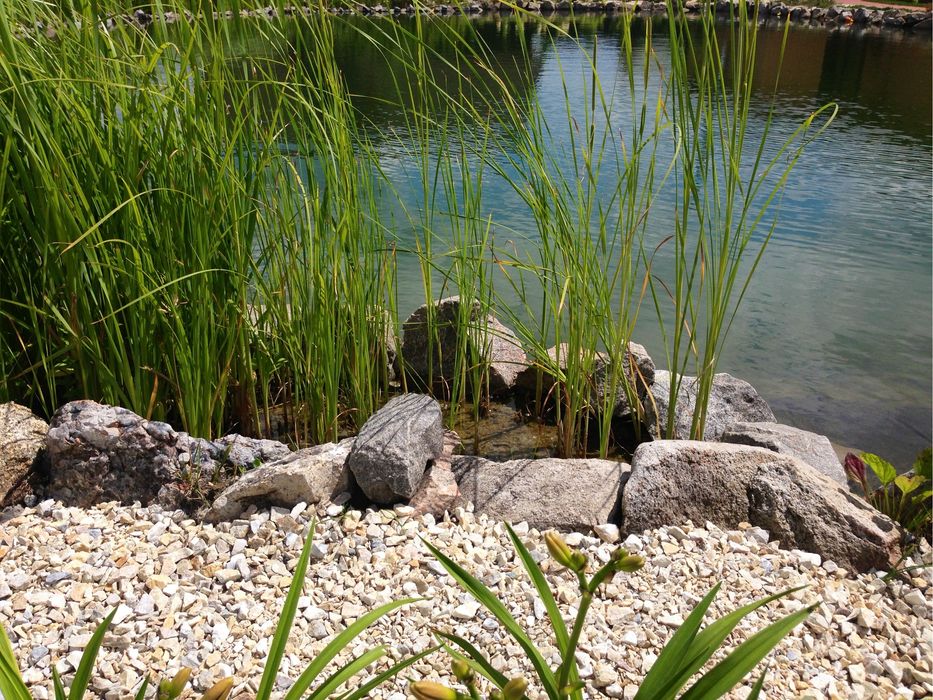 Будівництво озер, розчістка річок, штучні водойми.