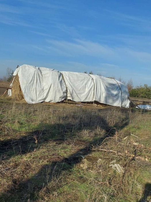 Сіно лугове в тюках