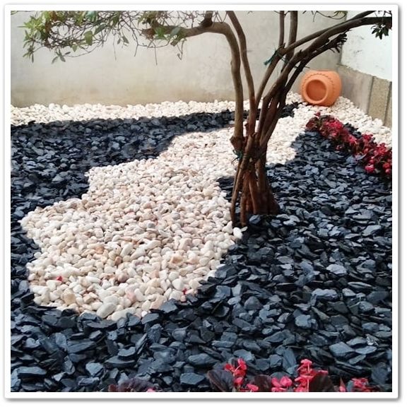 Xisto Preto (Decoração de Jardim / Canteiros)