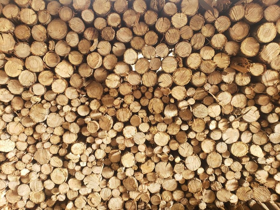Vende-se Lenha de Eucalipto/Eucalyptus Firewood For Sale