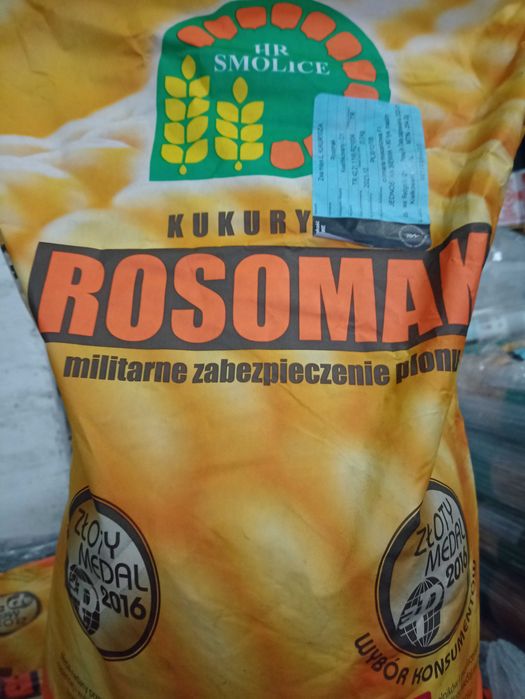 Kukurydza nasiona kukurydzy Rosomak 80 tyś. nasion
