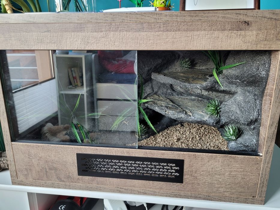 Terrarium z osprzętem